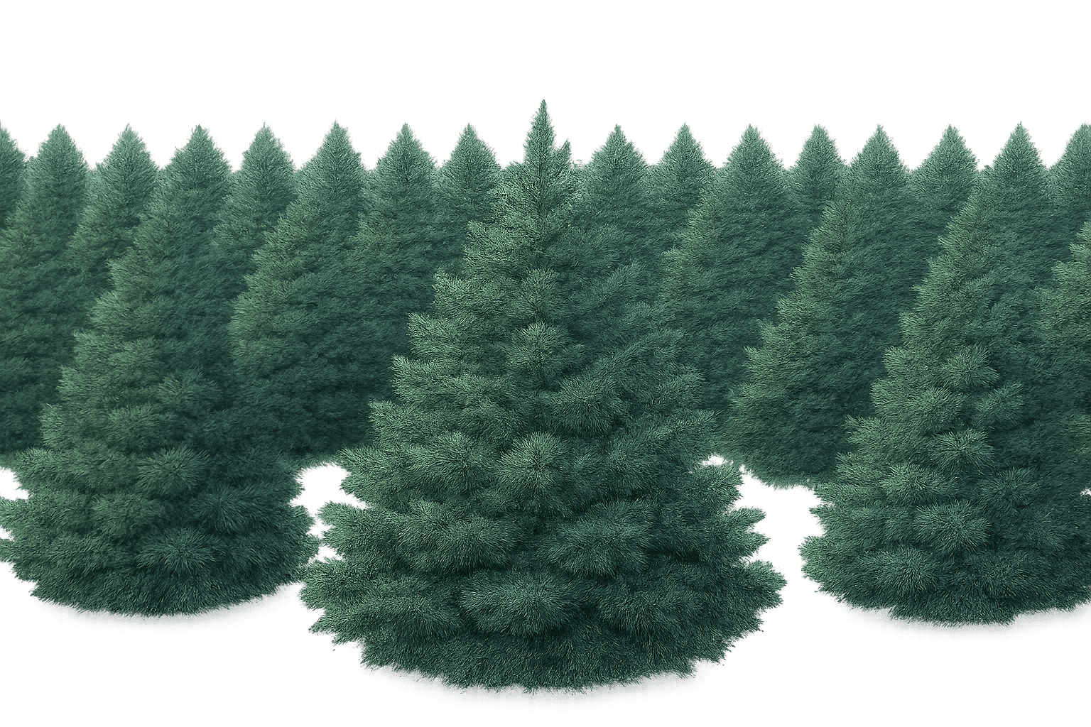 Field background